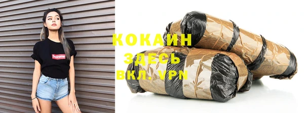 амф Козловка