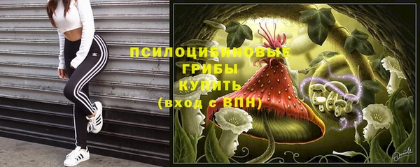 прущий лед Киреевск
