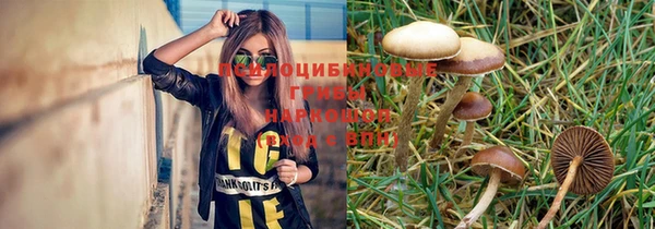 прущий лед Киреевск