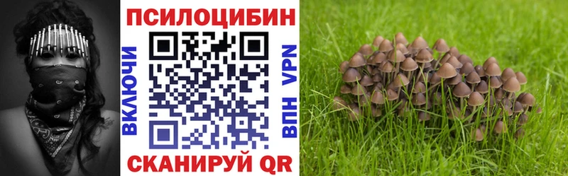 Псилоцибиновые грибы мухоморы  Купить  Зеленоградск 