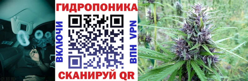 Купить закладки  Зеленоградск  Конопля индика 